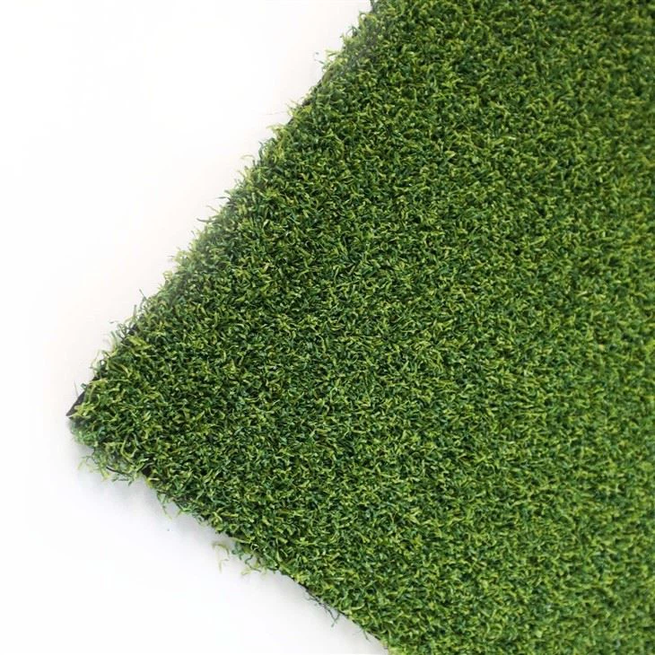 Artificial Lawn Of Family Garden Golf Course