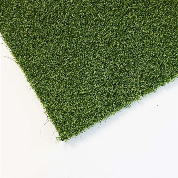 Artificial Lawn Of Family Garden Golf Course