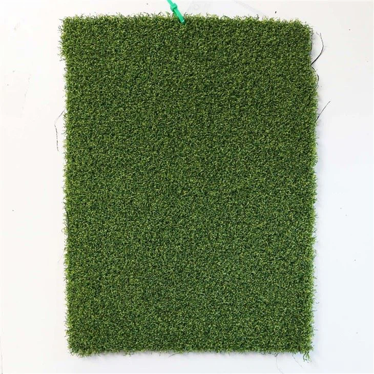 Artificial Lawn Of Family Garden Golf Course