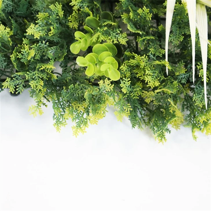 Interior Green Wall
