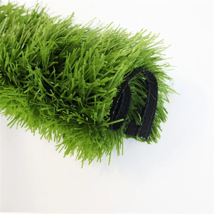 Artificial Turf Field