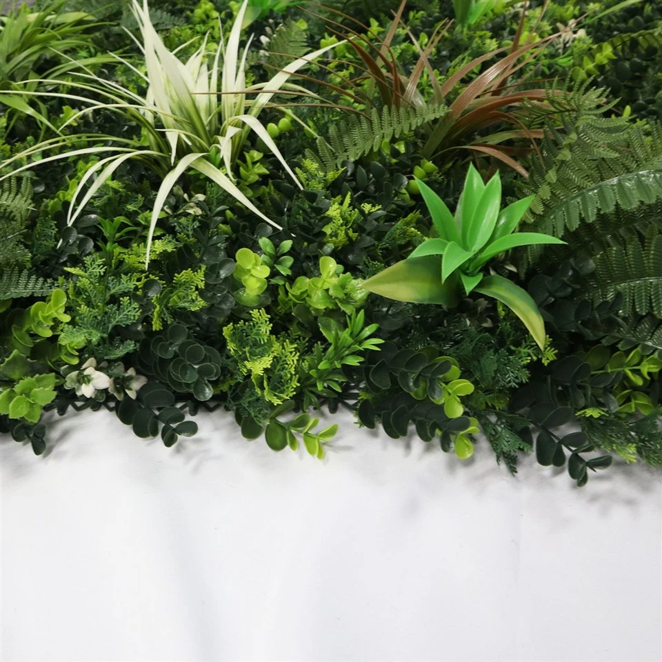 Ceramic Wall Planters Indoor