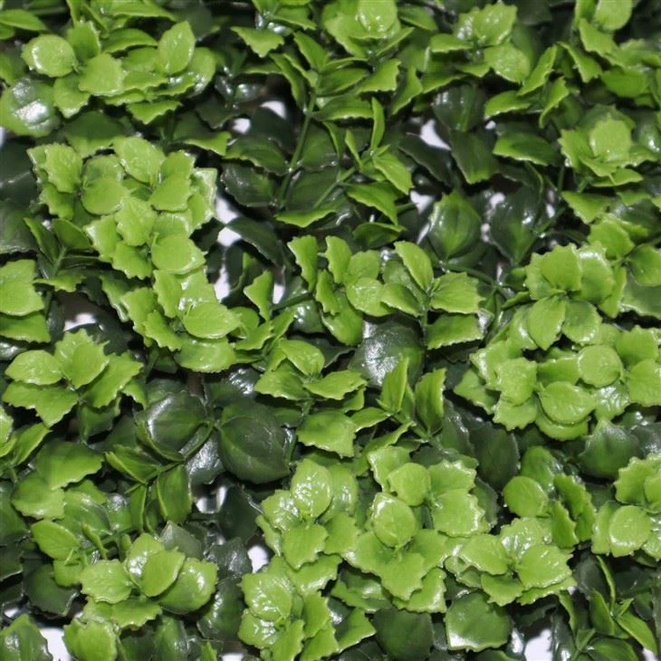 Decorative Green Wall