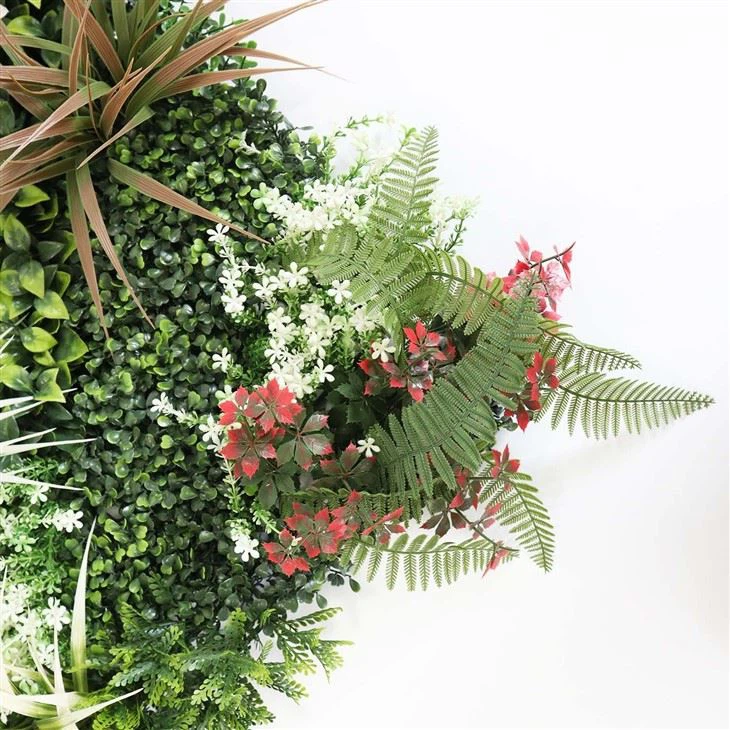 Eco-friendly Green Wall