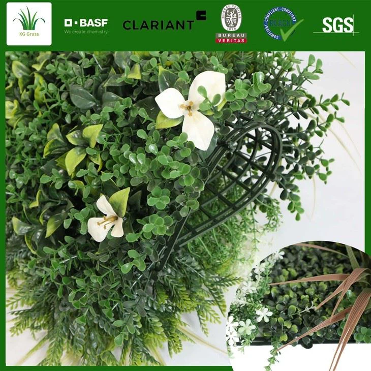 Eco-friendly Green Wall