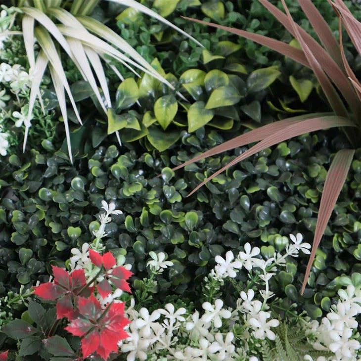 Eco-friendly Green Wall