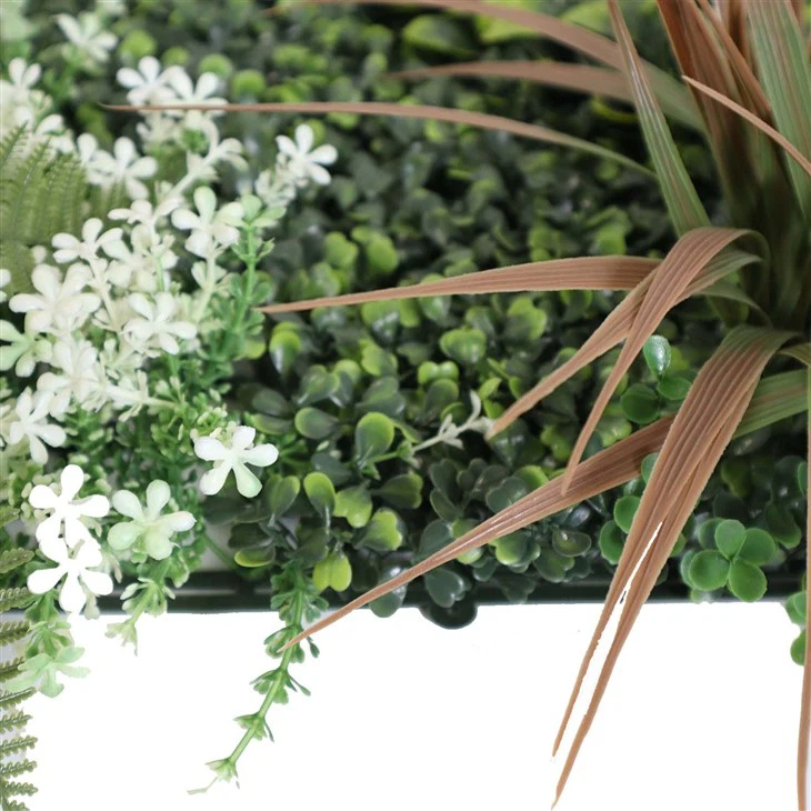 Eco-friendly Green Wall