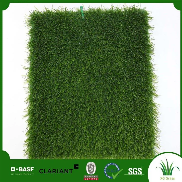 Football Grass Soccer No Sand No Rubber