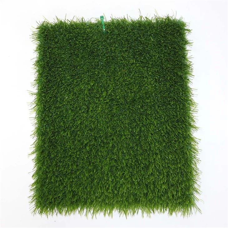 Football Grass Soccer No Sand No Rubber