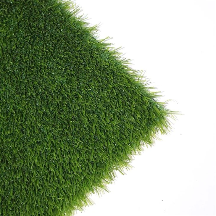 Football Grass Soccer No Sand No Rubber