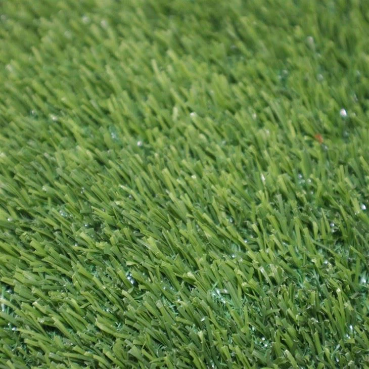 Football Grass Soccer No Sand No Rubber