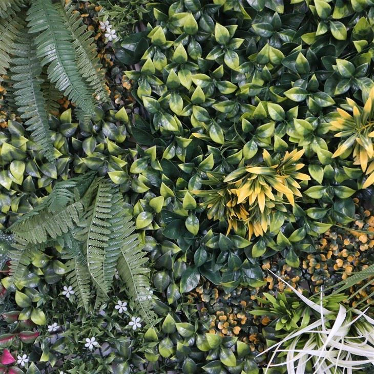 Green Wall Design