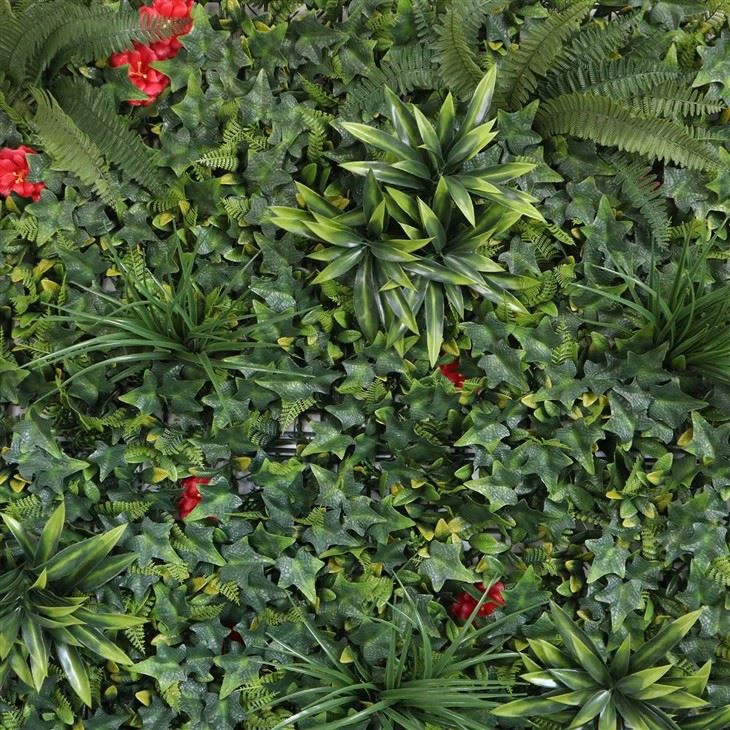 Hanging Indoor Wall Plants
