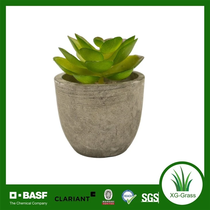 High-Quality Artificial Succulent Plant Pot high quality