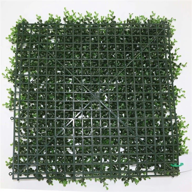 Home Wall Grass
