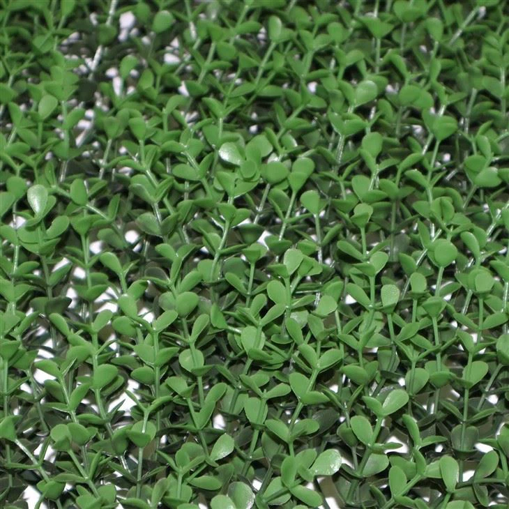 Home Wall Grass