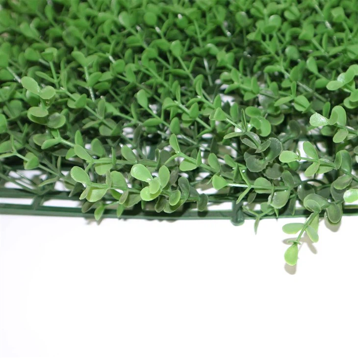 Home Wall Grass