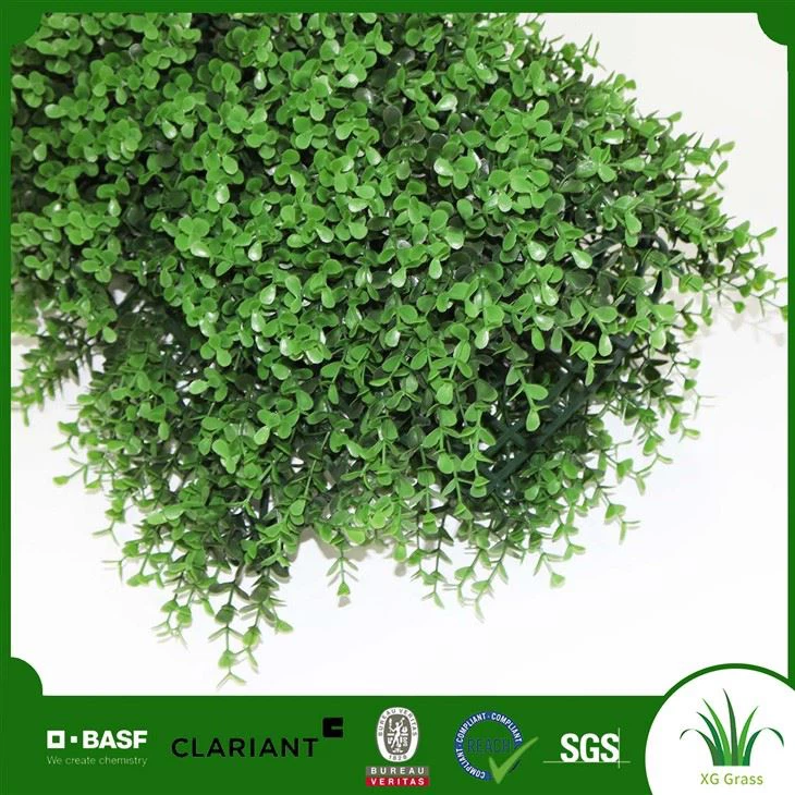 Home Wall Grass