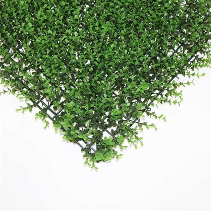 Home Wall Grass