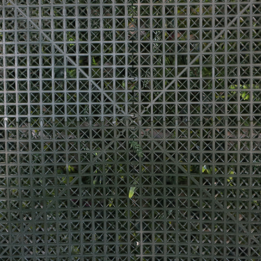 Indoor Foliage Wall