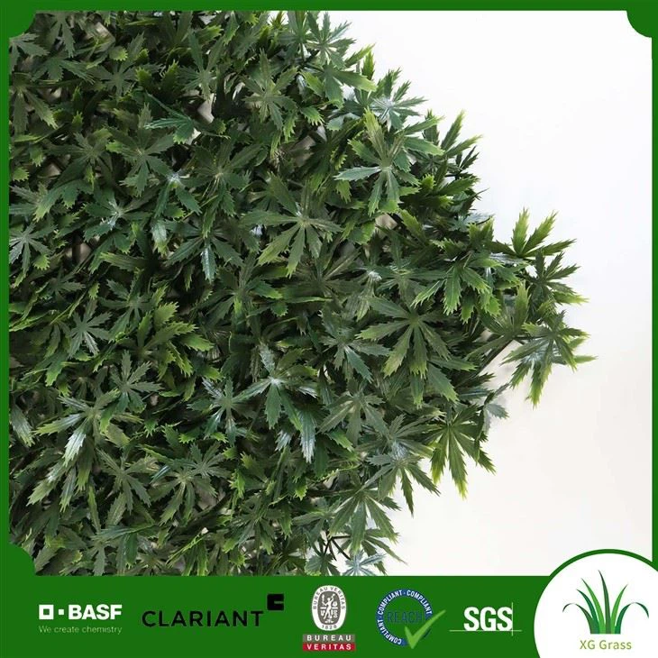Indoor Garden Vertical