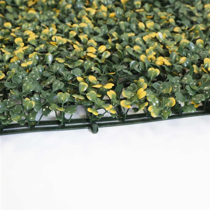 Indoor Green Plant Wall