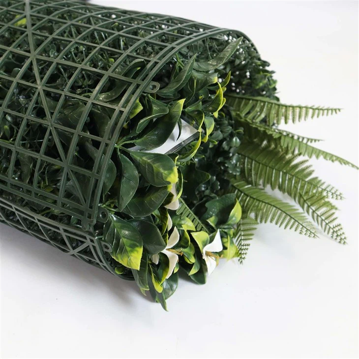 Indoor Green Wall Plants