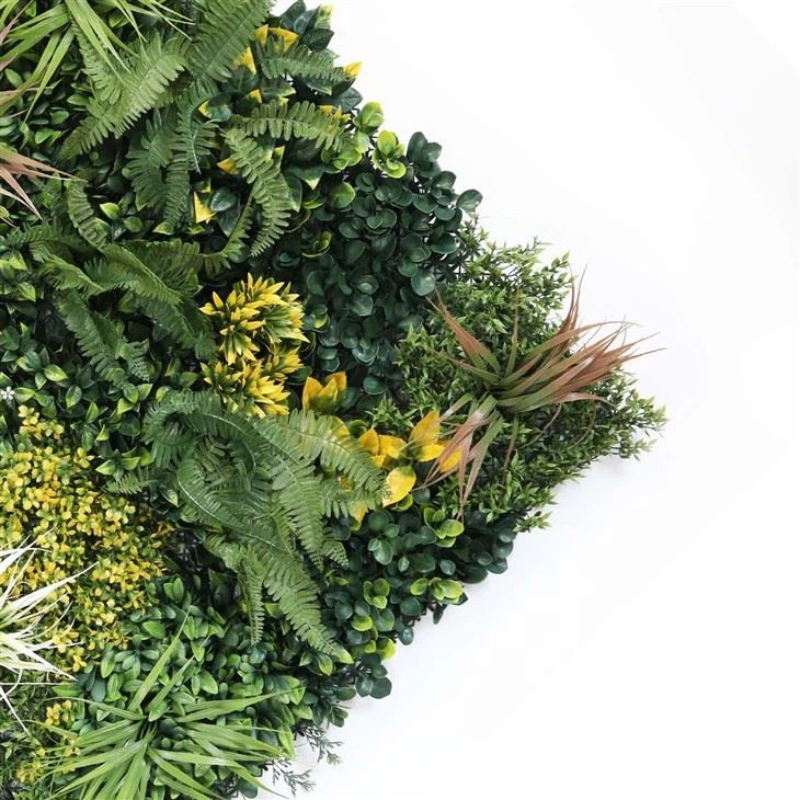 Indoor Green Wall Plants