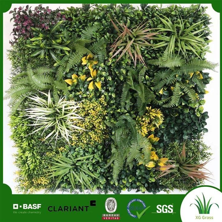 Indoor Green Wall Plants