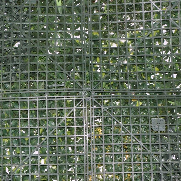 Indoor Hanging Wall Garden