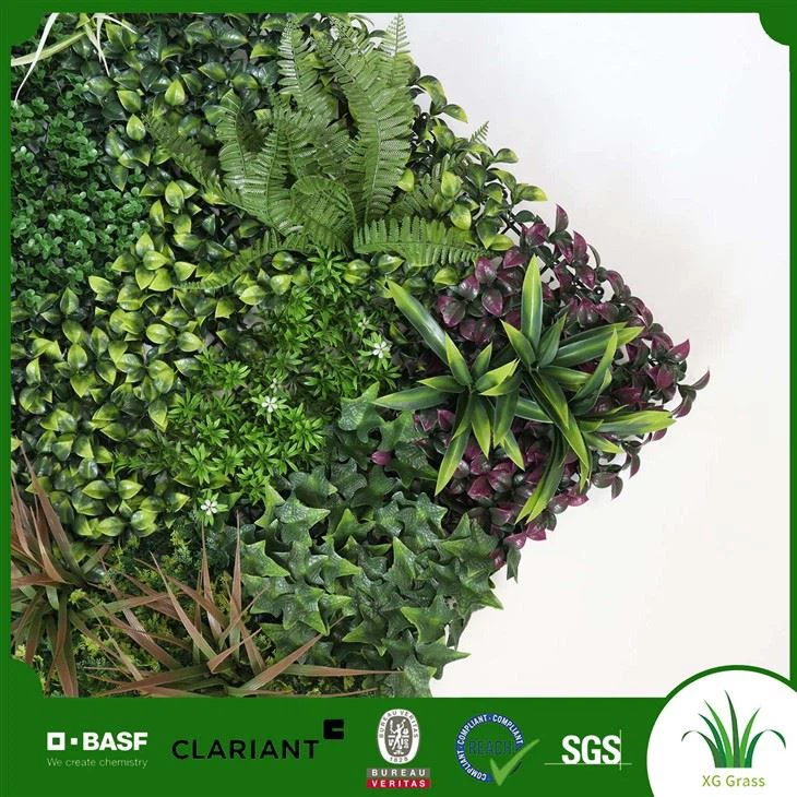 Indoor Moss Wall Panels