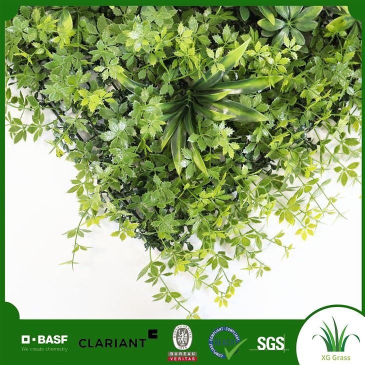 Indoor Vertical Garden Wall