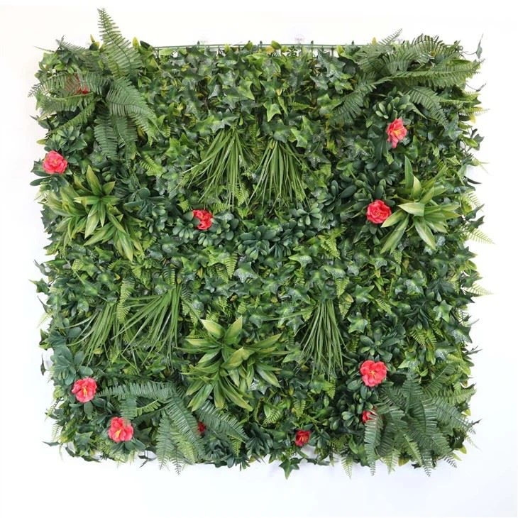 Indoor Vine Plants Wall