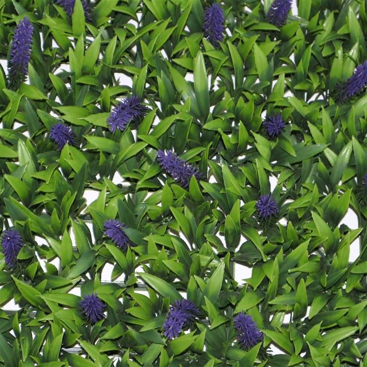 Interior Vertical Garden Wall