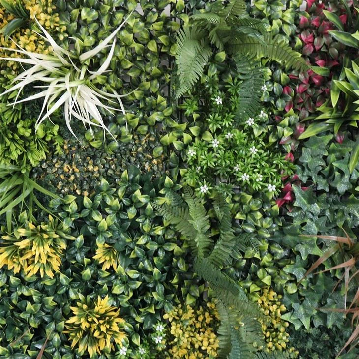 Interior Wall Hanging Plants