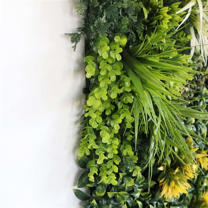 Interior Wall Hanging Plants