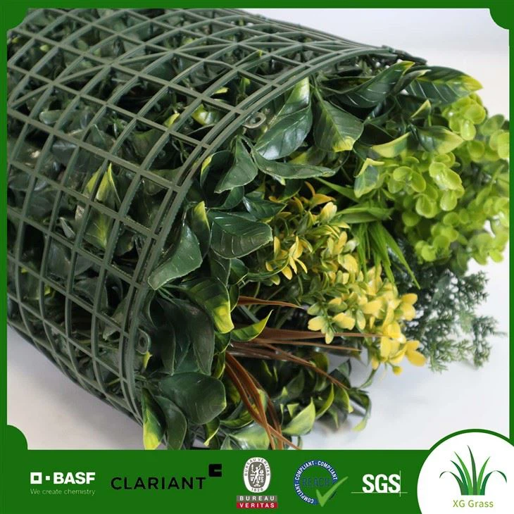 Interior Wall Hanging Plants