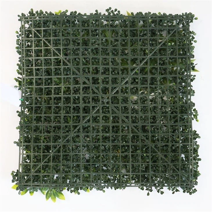 Living Green Wall Indoor