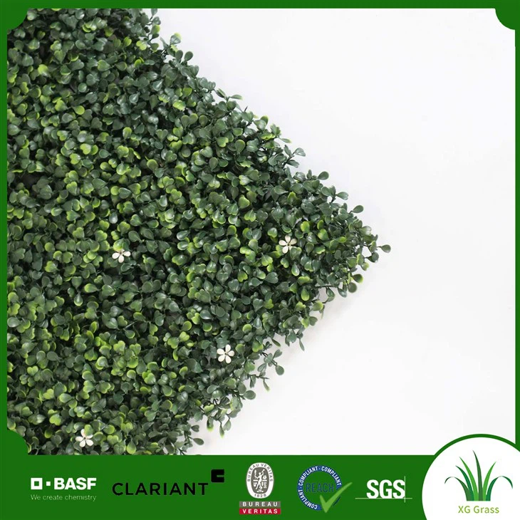 Living Wall Garden Indoor