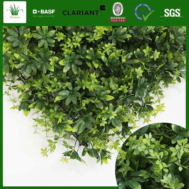 Living Wall Indoor Office