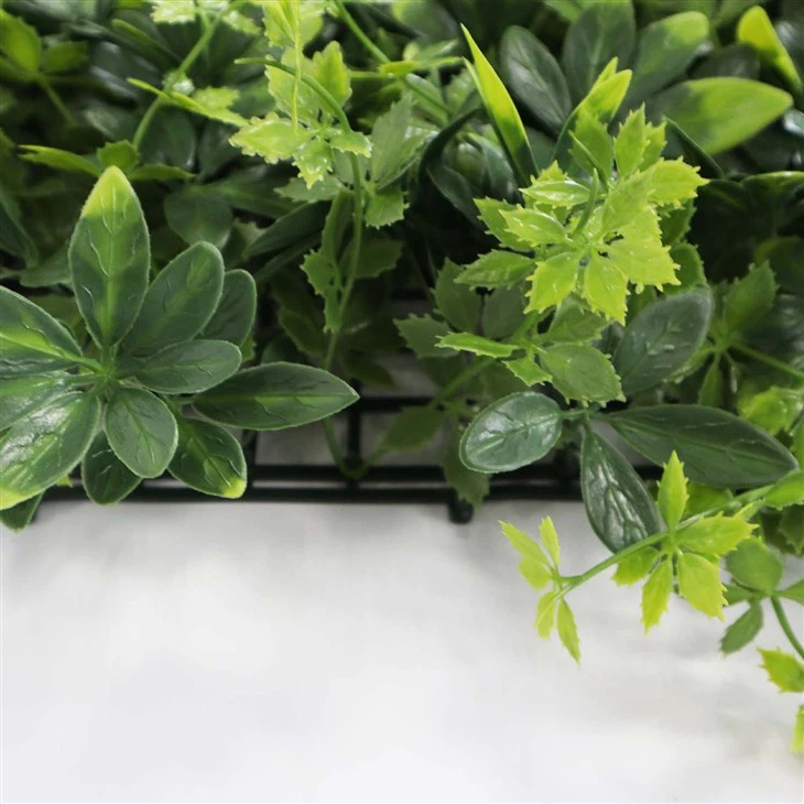 Living Wall Indoor Office