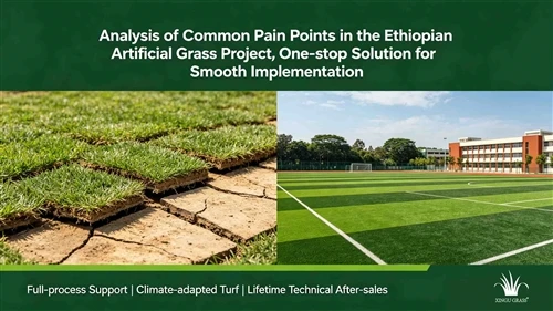 Analysis Of Common Pain Points in The Ethiopian Artificial Grass Project, One...