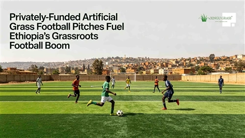 The Privately-owned Artificial Grass Football Pitches Have Rapidly Emerged, I...