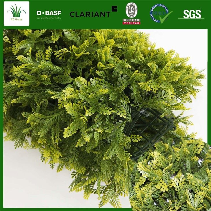 Outdoor Green Wall