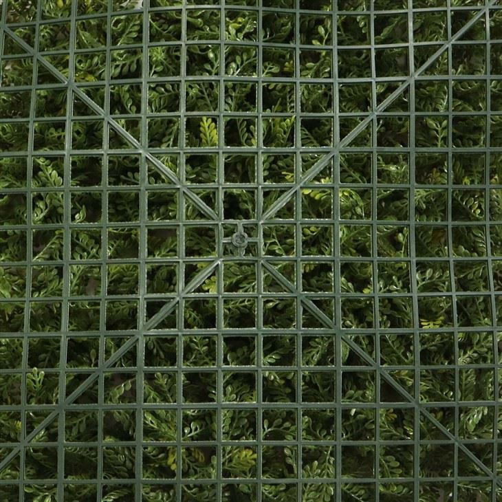 Outdoor Green Wall