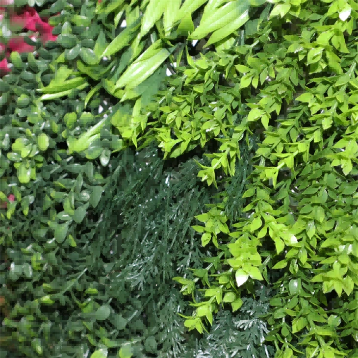 Plant Wall Inside