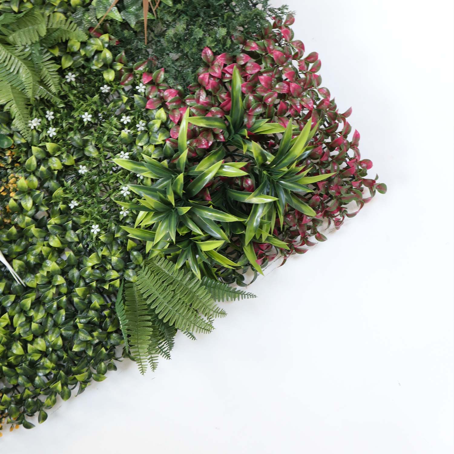 indoor plants vertical garden indoor plants vertical garden