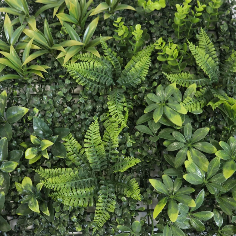 plant wall room plant wall room