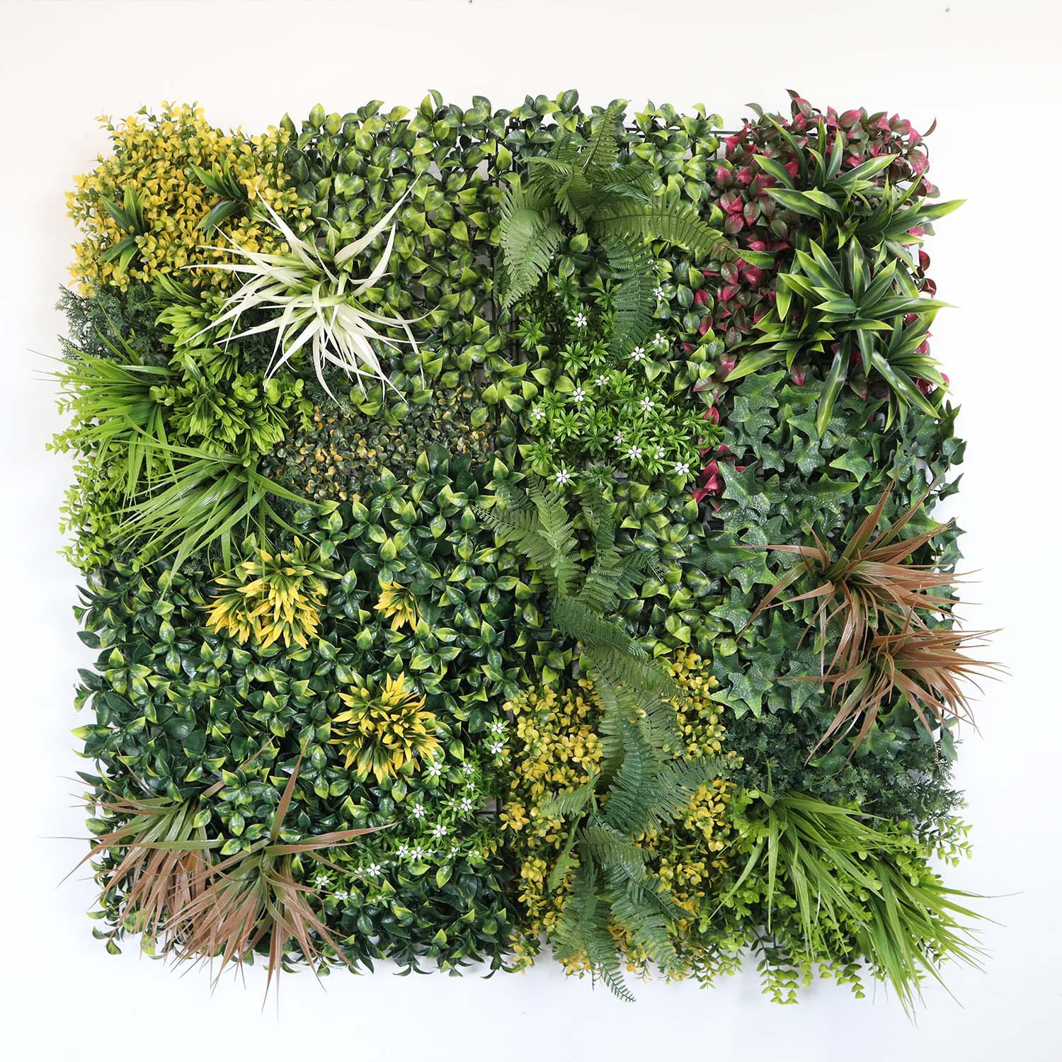 vertical garden indoor wall vertical garden indoor wall