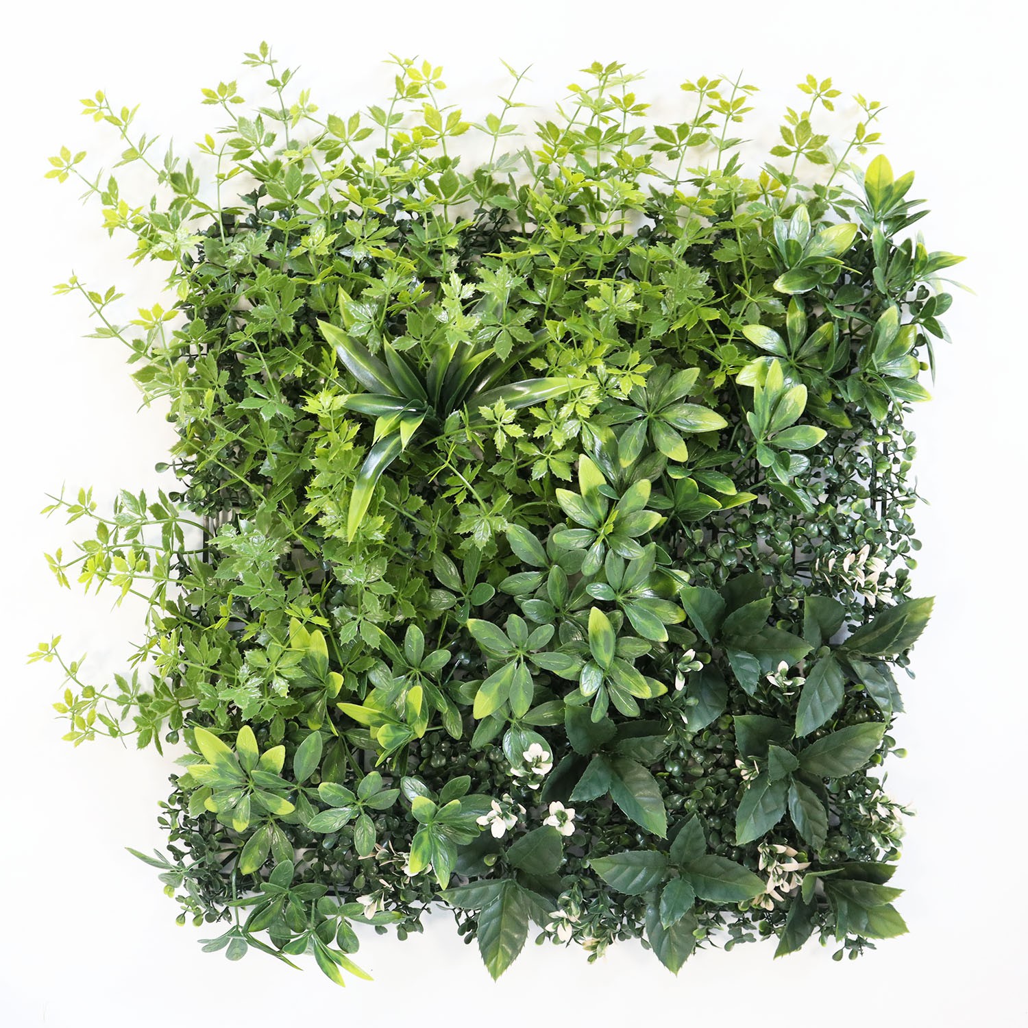 wall vertical garden wall vertical garden